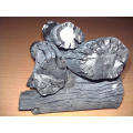 Oak Binchotan Charcoal